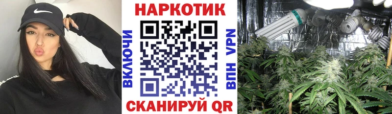 Где найти наркотики Сальск ГАШ Каннабис Амфетамин МЕФ
