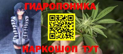 дмт Мирный
