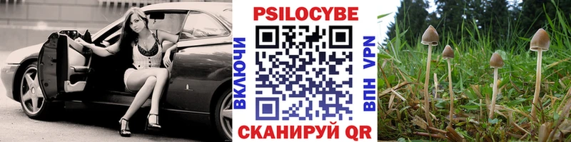 Псилоцибиновые грибы Cubensis  Сальск 