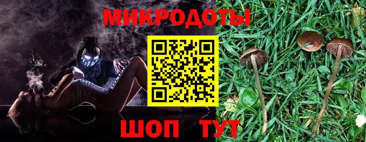 Псилоцибиновые грибы Psilocybine cubensis  Галлюциногенные грибы MAGIC MUSHROOMS  Сальск  Вход с VPN 