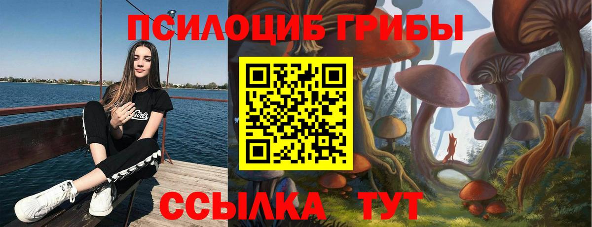 Псилоцибиновые грибы GOLDEN TEACHER Сальск